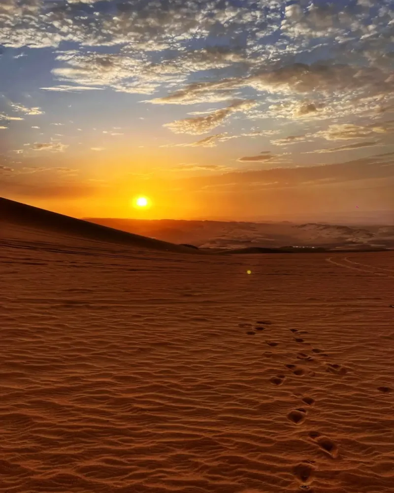 oasis-no-peru-6
