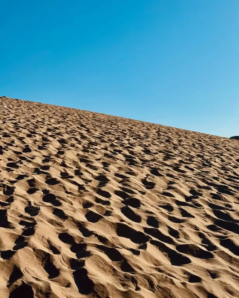 oasis-peruano-Huacachina-17