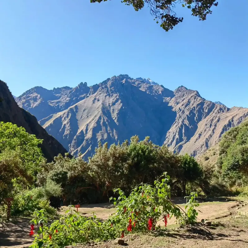 Trilha-Inca-21